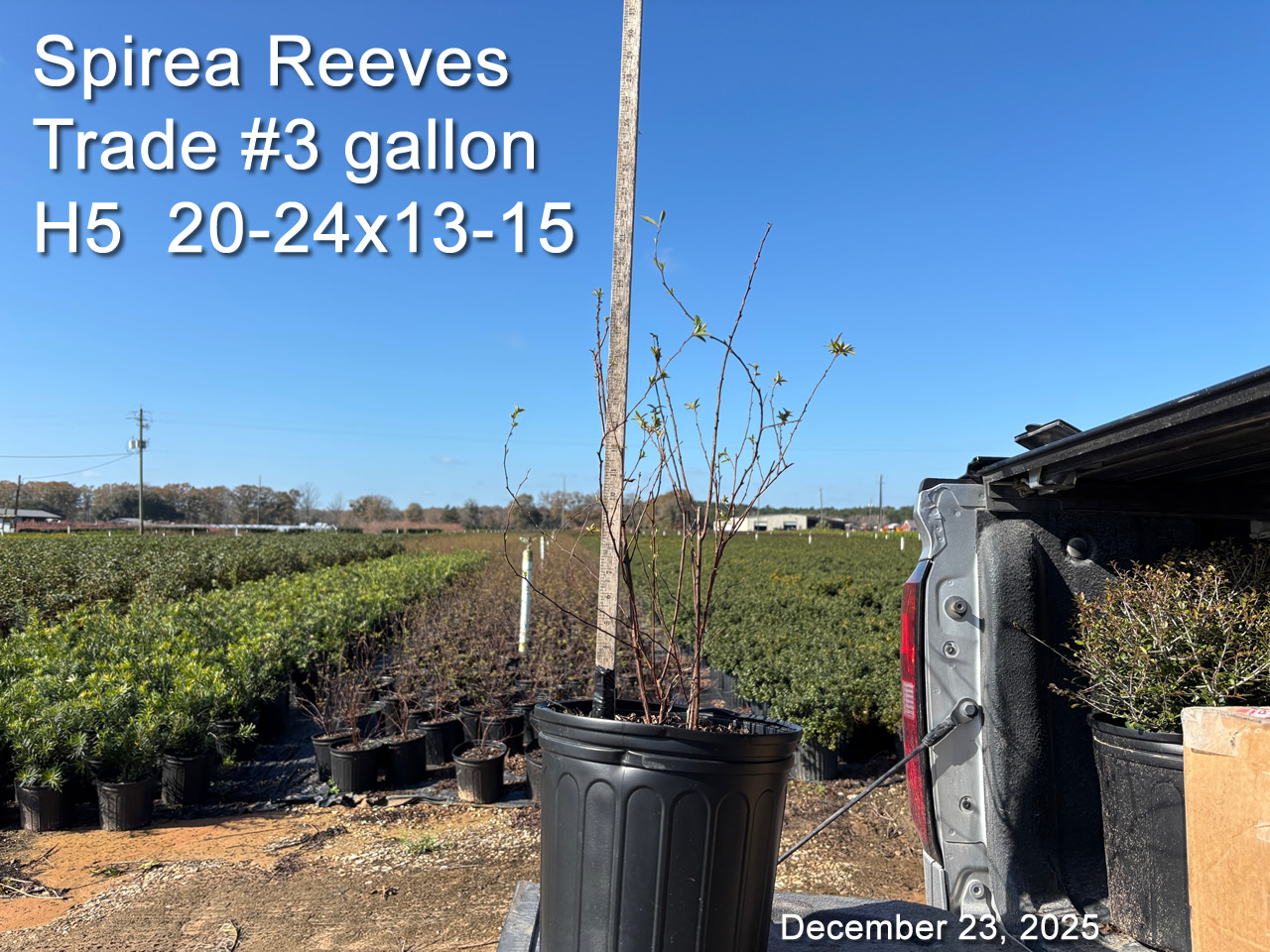 gallery/srv3t h5 dec23.jpg